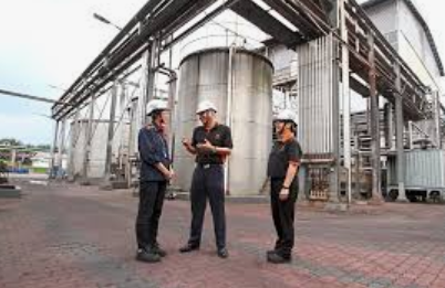 Phyto nutrients plant